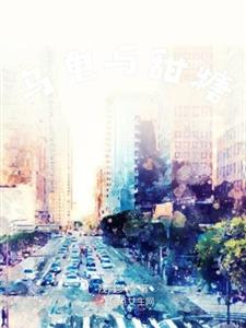 乌龟与甜糖